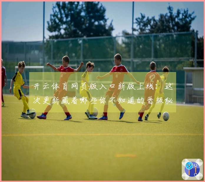 开云体育网页版入口新版上线：这次更新藏着哪些你不知道的晋级秘籍？