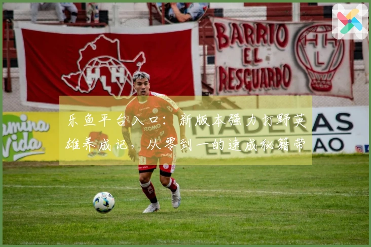 乐鱼平台入口：新版本强力打野英雄养成记，从零到一的速成秘籍带你飞